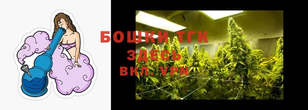 первитин Богородицк