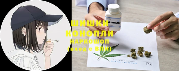 первитин Богородицк
