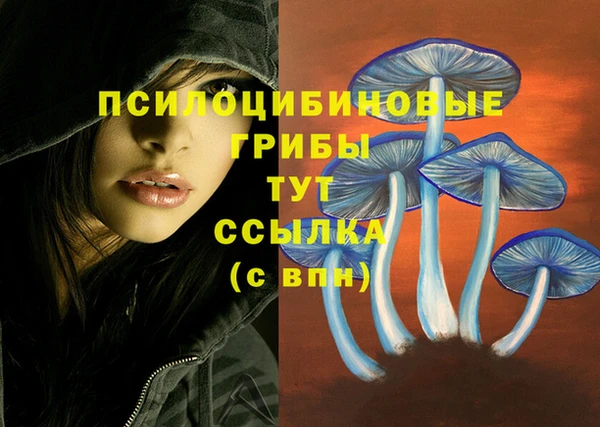 первитин Богородицк