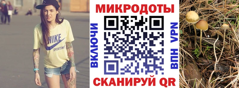 Галлюциногенные грибы Psilocybe  Малая Вишера 
